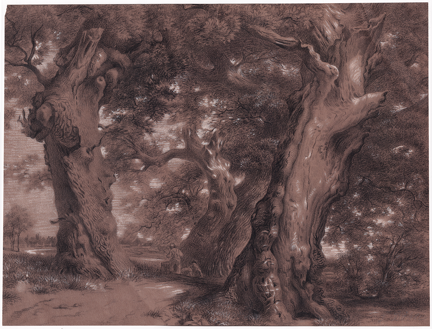 Wald